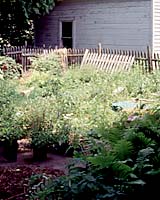 This how our backyard looked for several years after we moved into our City of Syracuse home!