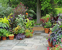 NY APPA conference speaker Irene Lekstutis creates the stunning container displays seen each year at the entrance to the Headquarters building at Cornell Plantations!