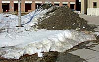 Plant materials in this project must tolerate exposure to stockpiles of salt-laden snow for several months each winter.