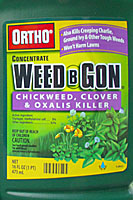 Orthos Weed B Gon Chickweed, Clover and Oxalis Killer is effective against groundivy when applied in the fall.