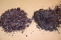 Sphagnum peat moss-based ProMix BX on the left is lighter colored than the compost and sand-based PayGro potting soil on the right.