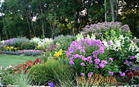 Here's a look at my college roommate's perennial border in its summer glory just outside of Washington, D.C..