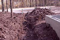 Trenching for utilities is bound to damage the root system of nearby trees!