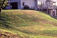 A long-term recommendation in a landscape management plan may be to eliminate steeply sloped, difficult-to-mow lawn areas by planting them with groundcovers.