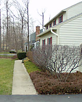 Very few evergreens stay small enough to fit between the front walk and foundation of many homes.