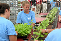 You can go behind the scenes at VaVa Bloom to see how Dickman Farms grows and ships millions of plants each year!